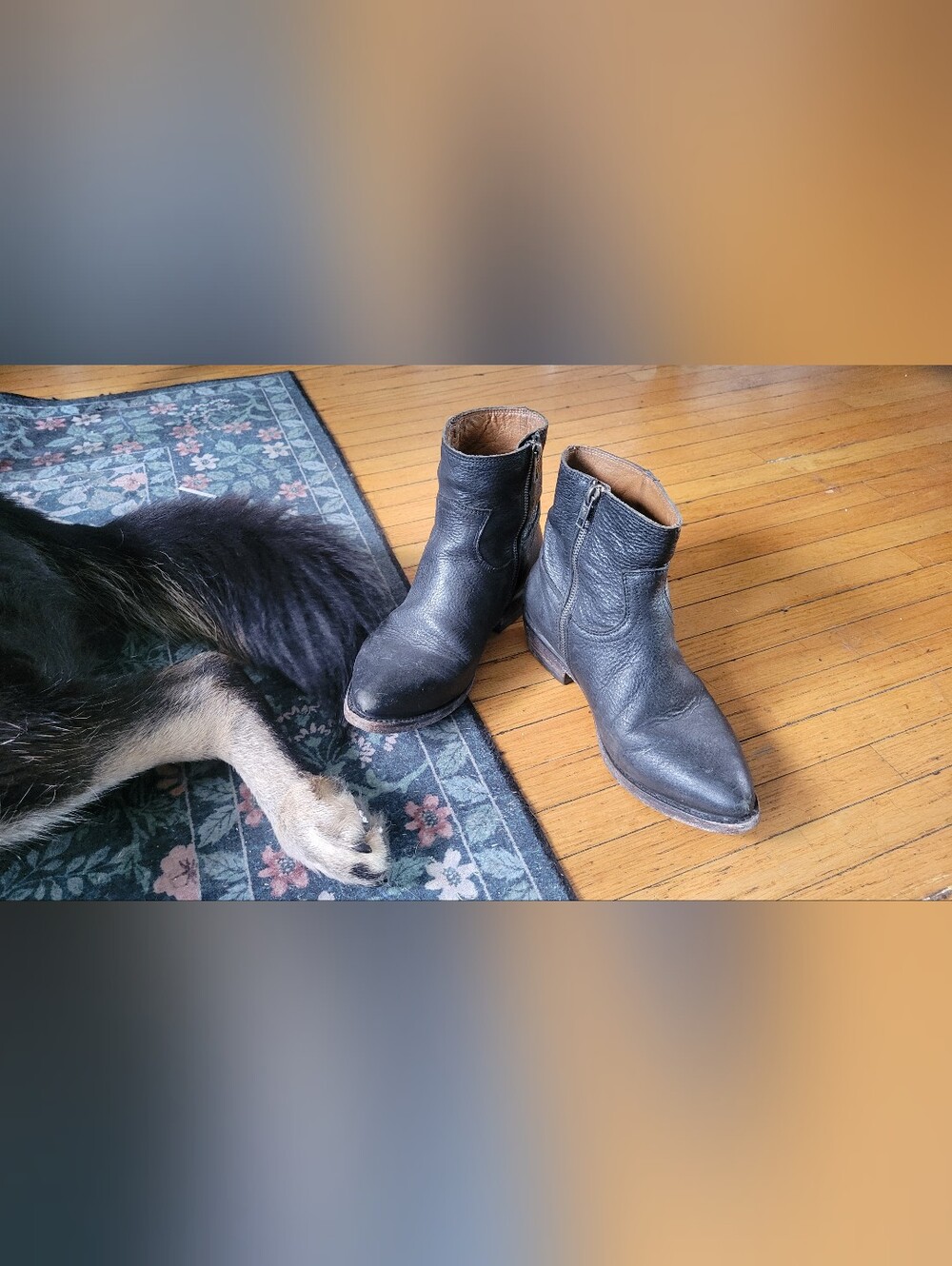 Frye Moto Ankle Boots